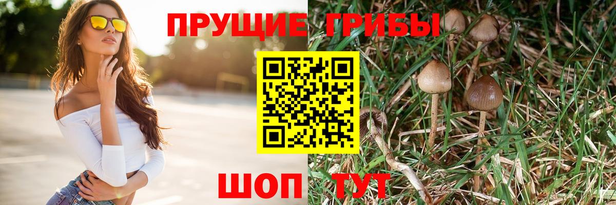 цены   Вход с VPN  Железноводск  Псилоцибиновые грибы Magic Shrooms 